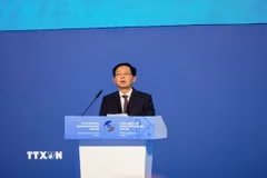 Phó Thủ tướng Chính phủ Hồ Quốc Dũng phát biểu tại Phiên toàn thể của Diễn đàn Kinh tế Á - Âu. (Ảnh: Trần Hải/TTXVN)