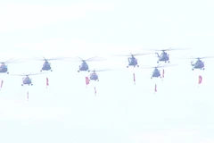 Khoảnh khắc đẹp "tuyệt đối điện ảnh" của Không quân Việt Nam tại Tổng duyệt A80