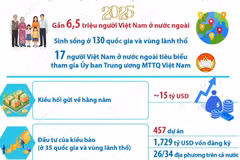 Cộng đồng người Việt Nam ở nước ngoài phát triển mạnh về lượng và chất