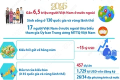 Cộng đồng người Việt Nam ở nước ngoài phát triển mạnh về lượng và chất