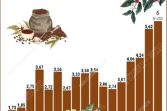 7 tháng năm 2025, càphê xuất khẩu cao kỷ lục, vượt kim ngạch cả năm 2024