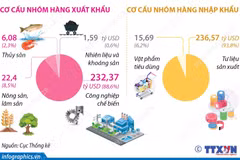 Xuất nhập khẩu hàng hóa 7 tháng đạt hơn 514 tỷ USD, xuất siêu hơn 10 tỷ USD