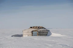 (Ảnh: arabtimesonline)