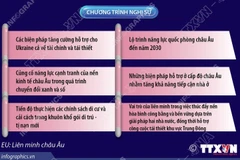 Hội nghị thượng đỉnh EU: Tập trung đoàn kết nội khối và chuyển đổi chiến lược