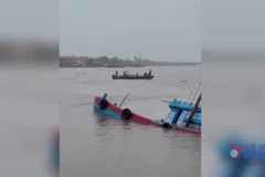 Cảnh sát đường thủy cứu 9 thuyền viên tàu cá bị lật do bão Wipha