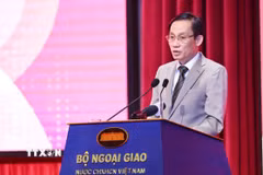 Ủy viên Bộ Chính trị, Bộ trưởng Ngoại giao Lê Hoài Trung phát biểu chỉ đạo. (Ảnh: Minh Đức/TTXVN)