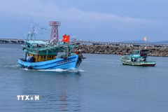 Tàu cá trên cửa sông Dương Đông, thành phố Phú Quốc (An Giang). (Ảnh: Lê Huy Hải/TTXVN)