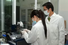 Chính sách hỗ trợ đặc thù, vượt trội cho người giám định tư pháp được áp dụng từ ngày 1/5/2026. (Nguồn: Báo Chính phủ)