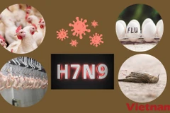 (Nguồn: Vietnam+)