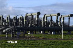 Hệ thống đường ống dẫn khí đốt gần Garelsweerd, tỉnh Groningen, Hà Lan. (Ảnh: AFP/TTXVN)