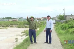 Thanh Hóa: Nhiều đồng muối bỏ hoang do diêm dân bỏ nghề