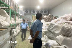 Hàng nghìn sản phẩm heo đông lạnh vừa được các lực lượng chức năng của tỉnh Gia Lai phát hiện và bắt giữ. (Ảnh: Quang Thái/TTXVN)