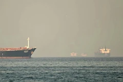 Tàu chở hàng và tàu chở dầu ngoài khơi thành phố Fujairah, thuộc eo biển Hormuz ngày 25/2/2026. (Ảnh: AFP)
