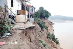 Ảnh minh họa. (Ảnh: Tạ Toàn/TTXVN)