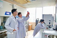 Chuyên gia, nhà khoa học, nhân lực tham gia nghiên cứu trong doanh nghiệp khoa học và công nghệ được miễn thuế thu nhập cá nhân. (Ảnh minh họa: Diệu Thúy/TTXVN)