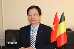 Ông Trần Ngọc Quân, Tham tán Thương mại, Trưởng Thương vụ Việt Nam tại Vương quốc Bỉ và EU. (Ảnh: Hương Giang/TTXVN)