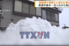 Nhật Bản: Tuyết rơi dày bất thường khiến hàng chục người thiệt mạng
