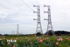 Công trình đường dây 500kV mạch 3 Quảng Trạch-Phố Nối là phong trào thi đua yêu nước, lao động sáng tạo, quyết liệt, thần tốc của toàn hệ thống chính trị, các bộ ngành, địa phương và công nhân ngành điện, nhằm giải quyết cấp bách tình trạng thiếu điện miền Bắc. (Ảnh: Huy Hùng/TTXVN)