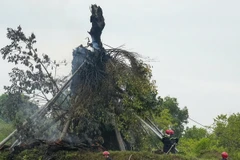 Cây đa hơn 200 tuổi bị lửa thiêu rụi. (Ảnh: Báo Quảng Ngãi)