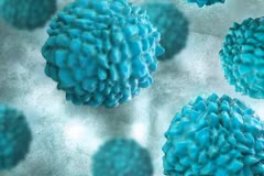 Virus norovirus.