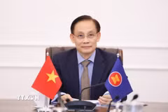 Ủy viên Bộ Chính trị, Bộ trưởng Ngoại giao Lê Hoài Trung tham dự hội nghị. (Ảnh: TTXVN phát)