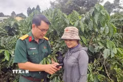 Quân đội sát cánh cùng dân bản mở đất thoát nghèo. (Ảnh minh họa: Kha Phạm/TTXVN)