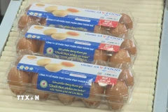 Sản phẩm trứng gia cầm tham gia chuỗi thực phẩm an toàn của Thành phố Hồ Chí Minh với logo của chuỗi. (Ảnh: Hương Giang/TTXVN)
