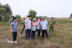Ông Phạm Thành Ngại, Chủ tịch UBND tỉnh Đồng Tháp kiểm tra hoạt động phòng cháy chữa cháy rừng trong mùa khô 2026 tại Vườn Quốc gia Tràm Chim. (Ảnh: Hồng Nhung/TTXVN)