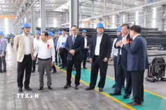Các đại biểu tham quan Nhà máy sản xuất, kinh doanh sản phẩm thép Hòa Phát Long An. (Ảnh: Bùi Giang/TTXVN)