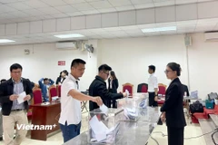 Một phiên đấu giá đất tại xã Chu Phan, huyện Mê Linh, Hà Nội. (Ảnh: Minh Nghĩa/TTXVN)