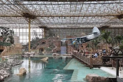 Khu thắng cảnh rộng 4ha duy trì khí hậu xích đạo quanh năm, là nơi sinh sống của hàng trăm loài động thực vật trên các cảnh quan nhiệt đới liên kết với nhau. (Ảnh: Pairi Daiza)