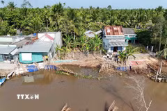 Hiện trường điểm sạt lở bờ sông ở xã Nhơn Mỹ, thành phố Cần Thơ xảy ra vào tháng 4/2026. (Ảnh: Thanh Liêm/TTXVN)