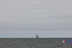 Hải quân Nga diễn tập phòng không, bắn tên lửa Pantsir-M ở Biển Baltic