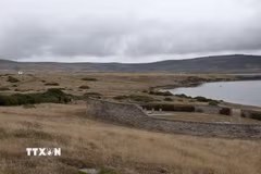 Quang cảnh quần đảo Falklands mà phía Argentina gọi là Malvinas. (Ảnh: AFP/TTXVN)