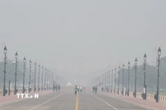 Tình trạng ô nhiễm không khí tại New Delhi, Ấn Độ. (Ảnh: ANI/TTXVN)