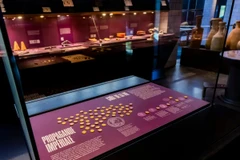 Những đồng tiền vàng cổ được trưng bày tại Bảo tàng La Mã ở Lausanne trước khi bị đánh cắp. (Ảnh: SWI)