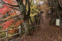 Dự kiến ​​mùa Thu năm nay tại Nhật Bản bị rút ngắn với nhiệt độ cao bất thường cho đến tháng 10 trước khi giảm xuống vào cuối tháng 11. (Nguồn: Getty)