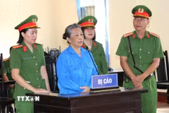 Bị cáo Thạch Thị Hoa Ri tại phiên tòa. (Ảnh: Thanh Hòa/TTXVN)