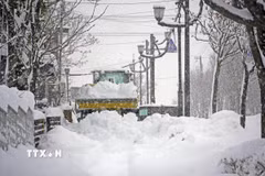 Tuyết rơi dày tại Nhật Bản. (Ảnh minh họa. Nguồn: Kyodo/TTXVN)
