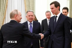 Tổng thống Nga Vladimir Putin (trái) trong cuộc gặp đại diện phái đoàn Mỹ tham gia đàm phán ba bên, gồm Đặc phái viên của Tổng thống Mỹ Steve Witkoff (thứ 2, trái) và Jared Kushner (phải), tại Moskva ngày 22/1/2026. (Ảnh: Reuters/TTXVN)