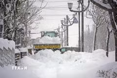 Tuyết rơi dày đặc tại Hokkaido, Nhật Bản. (Ảnh: Kyodo/TTXVN)