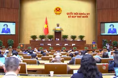 Quốc hội nghe tờ trình, báo cáo thẩm tra sửa đổi Luật