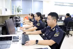 Cán bộ công chức Đội thông quan Chi cục Hải quan khu vực III đang xử lý hồ sơ cho doanh nghiệp trên hệ thống phần mềm chuyên ngành. (Ảnh: Mạnh Tú/TTXVN)