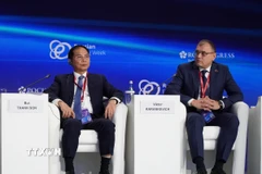 Phó Thủ tướng Bùi Thanh Sơn (trái) tại phiên thảo luận. (Ảnh: Tâm Hằng/TTXVN)