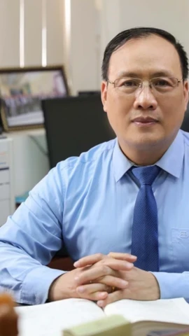 Giáo sư Nguyễn Đình Đức. (Ảnh: PV/Vietnam+)