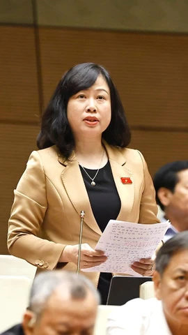 Bộ trưởng Bộ Y tế Đào Hồng Lan phát biểu tại hội trường. (Ảnh: Doãn Tấn/TTXVN)