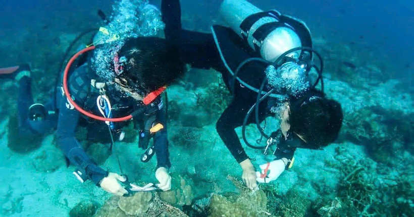 Thái Lan là điểm du lịch lặn biển được khách Việt ưa chuộng. (Ảnh: Tổng cục Du lịch Thái Lan)