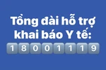 Lập đường dây nóng miễn phí 18001119 hỗ trợ khai báo y tế