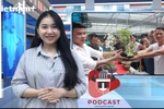 [Audio] Điều bất thường từ các vụ giao dịch lan đột biến trăm tỷ