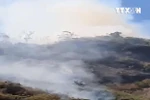 [Video] 6 hecta rừng đặc dụng Đèo Cả tại Phú Yên bị thiêu rụi